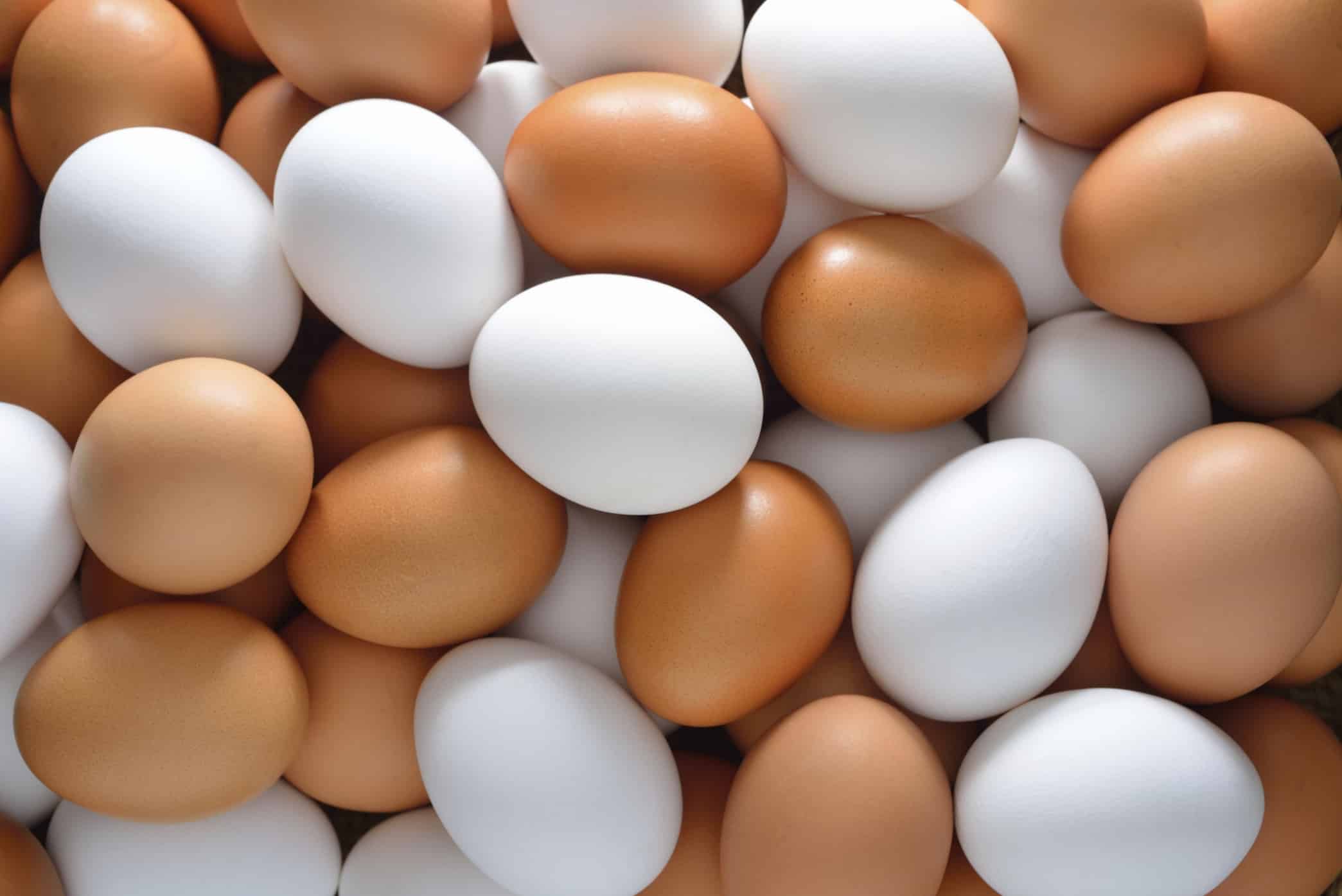 انخفاض أسعار البيض في السعودية