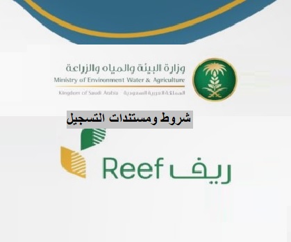 شروط دعم ريف والمستندات اللازمة