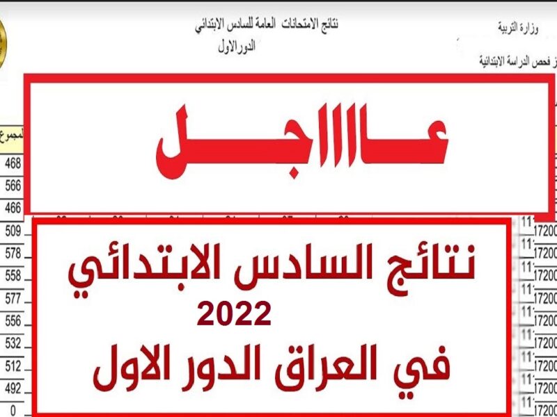 "هنا" الأن ظهور نتائج الصف السادس الابتدائي الدور الأول 2022 بالعراق عبر موقع وزارة التربية والتعليم العراقي