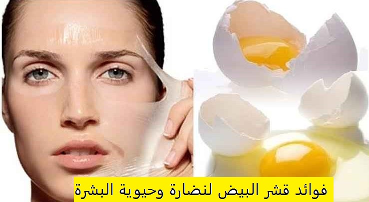 فوائد قشر البيض