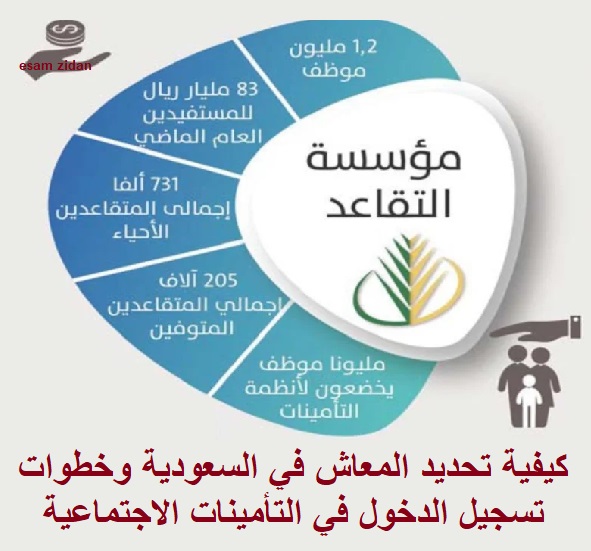 كيفية تحديد المعاش في السعودية وخطوات تسجيل الدخول في التأمينات الاجتماعية