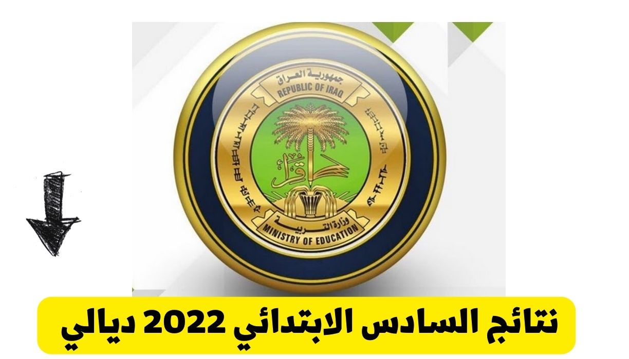 نتائج السادس الابتدائي 2022 ديالي