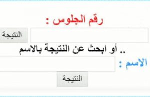 نتيجة الصف السادس الابتدائي 2022 برقم الجلوس "الترم الثاني" لجميع المحافظات