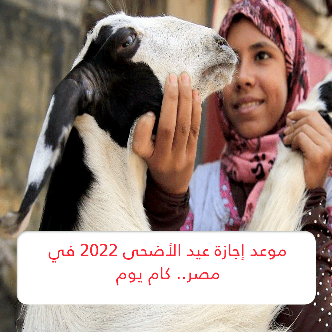 موعد إجازة عيد الأضحى 2022 في مصر