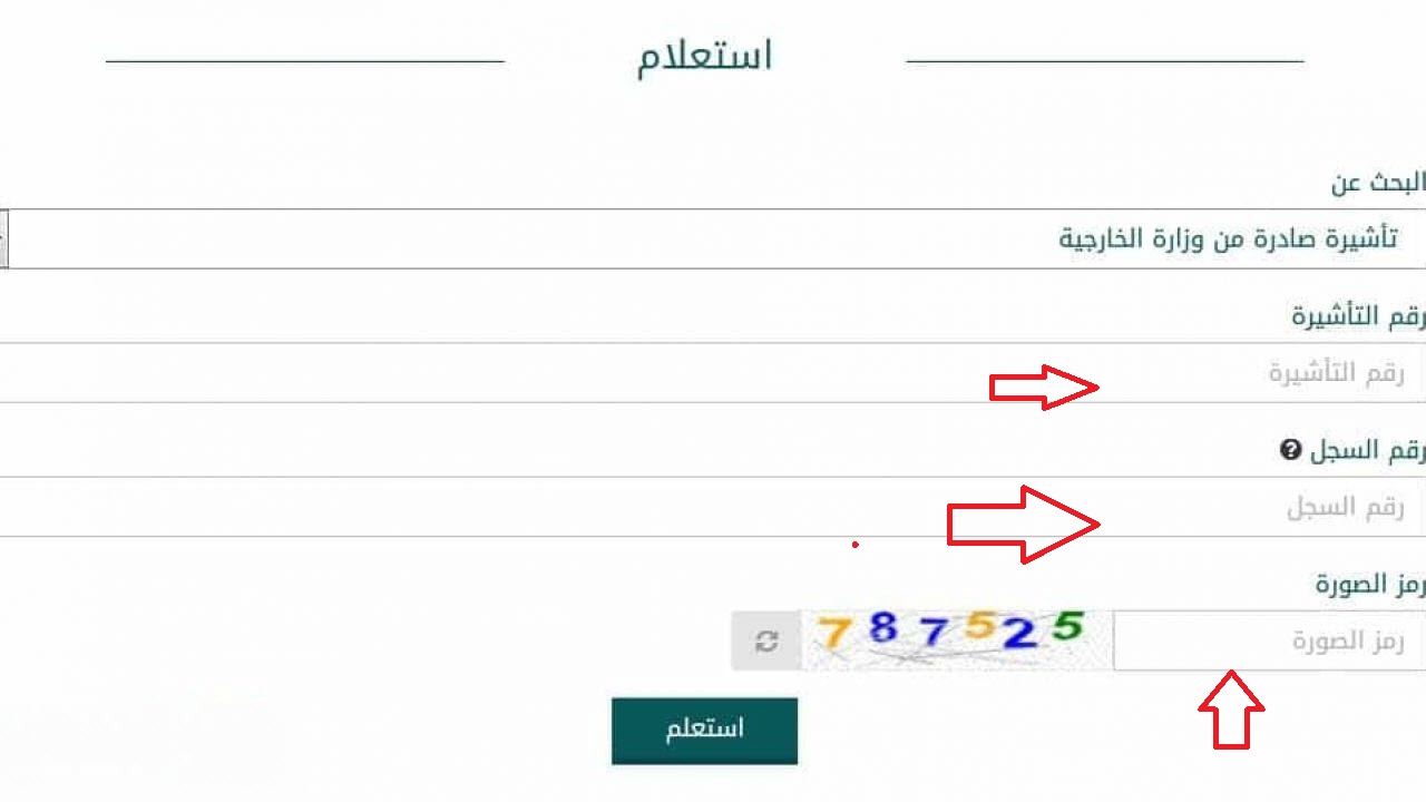 الاستعلام عن صدور تأشيرة السعودية برقم الجواز