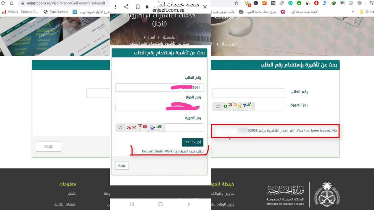 التأكد من إصدار التأشيرة