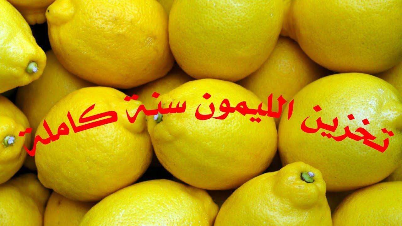 الطريقة الصحيحة لتخزين الليمون في الفريزر