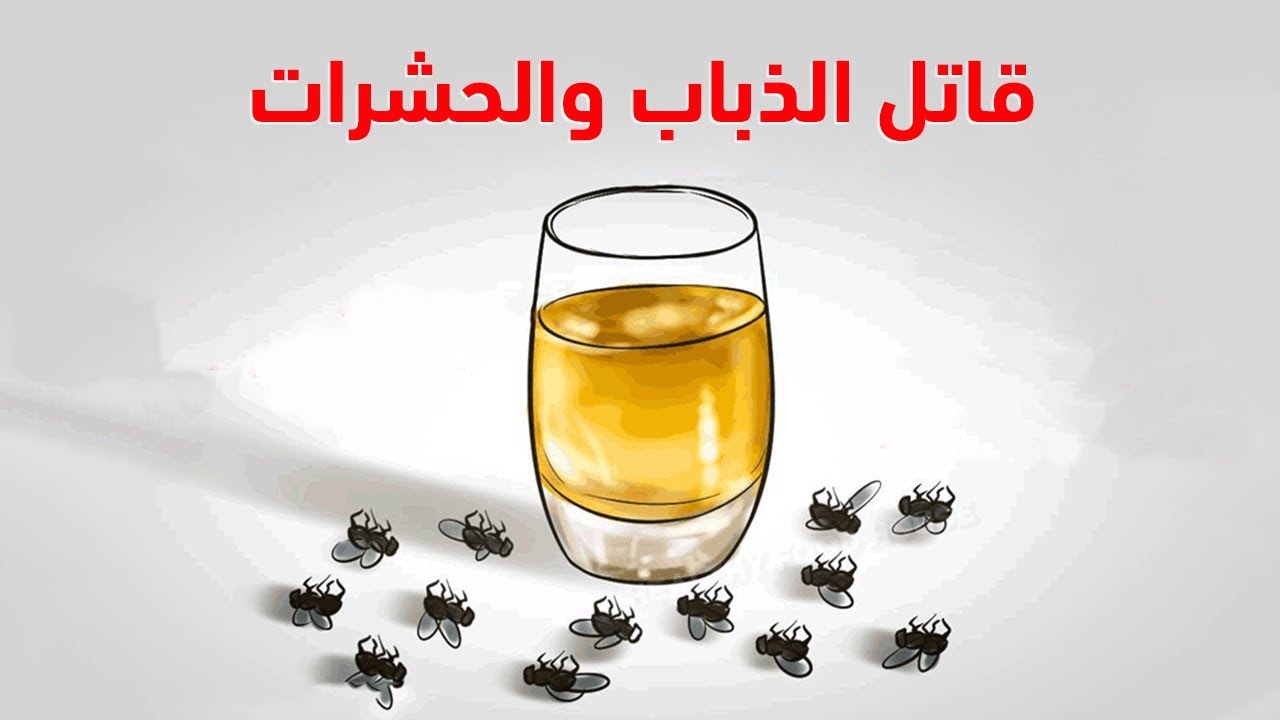 الملح للتخلص من الذباب