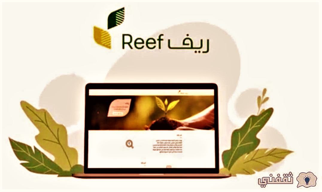 رابط الاستعلام عن دعم ريف برقم الهوية reef.gov.sa