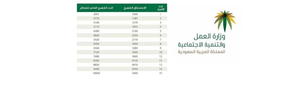 دعم الضمان الاجتماعي