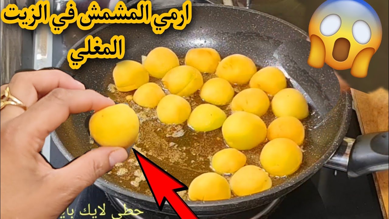 مربى المشمش