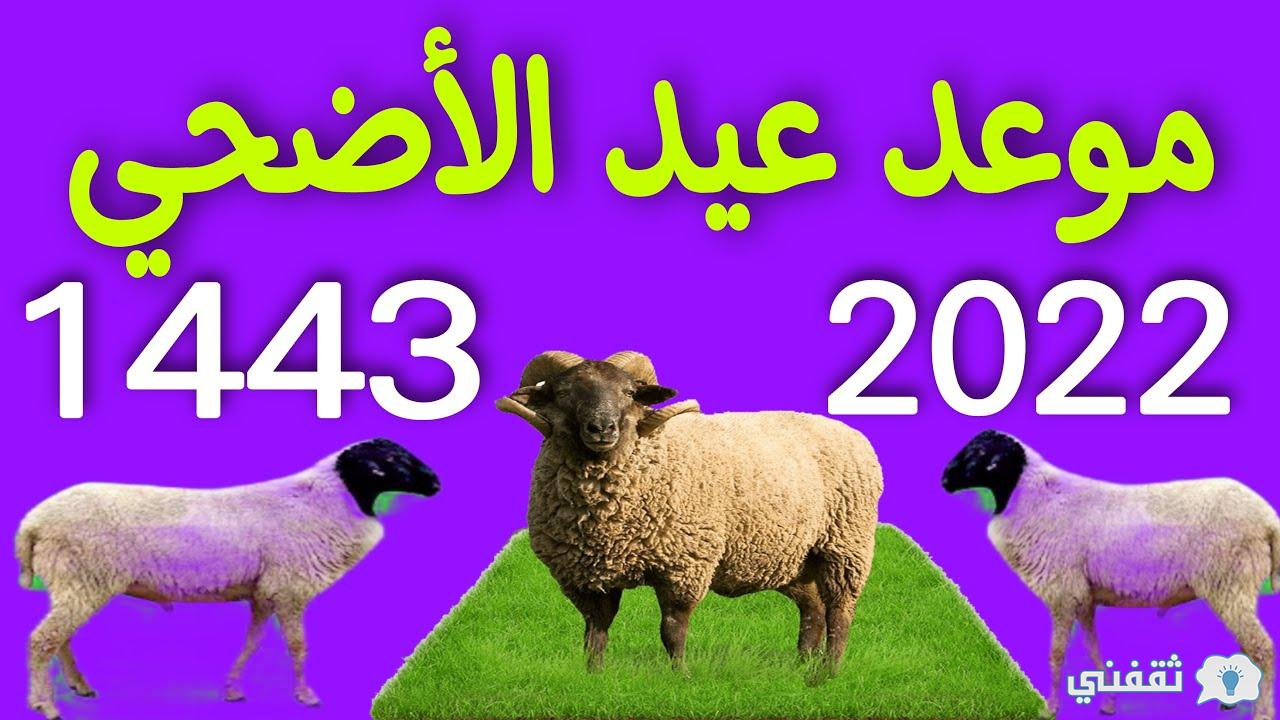 موعد وقفة عرفات 2022 السعودية