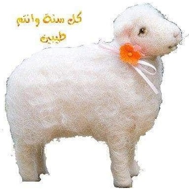 أجمل صورة خروف العيد