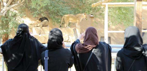 اسعار تذاكر حديقة حيوانات الرياض