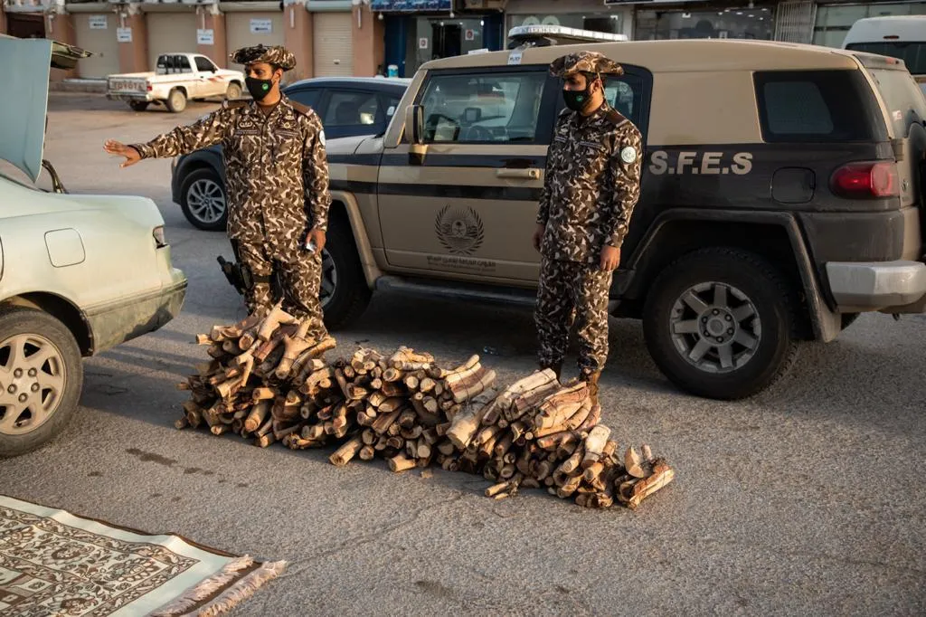 شروط التوظيف لحماية البيئة 1444، وكيفية التقديم