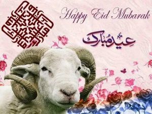 تهنئة عيد الاضحى 2022 احدث صور العيد مميزة ورسائل معايدة Happy Eid