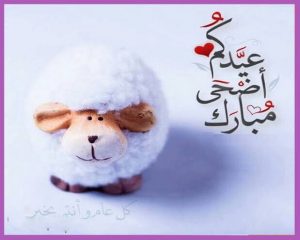 احلي صور تهنئة عيد الاضحي 2022 وأروع رسائل العيد الكبير تهنئ بصورة ورسالة