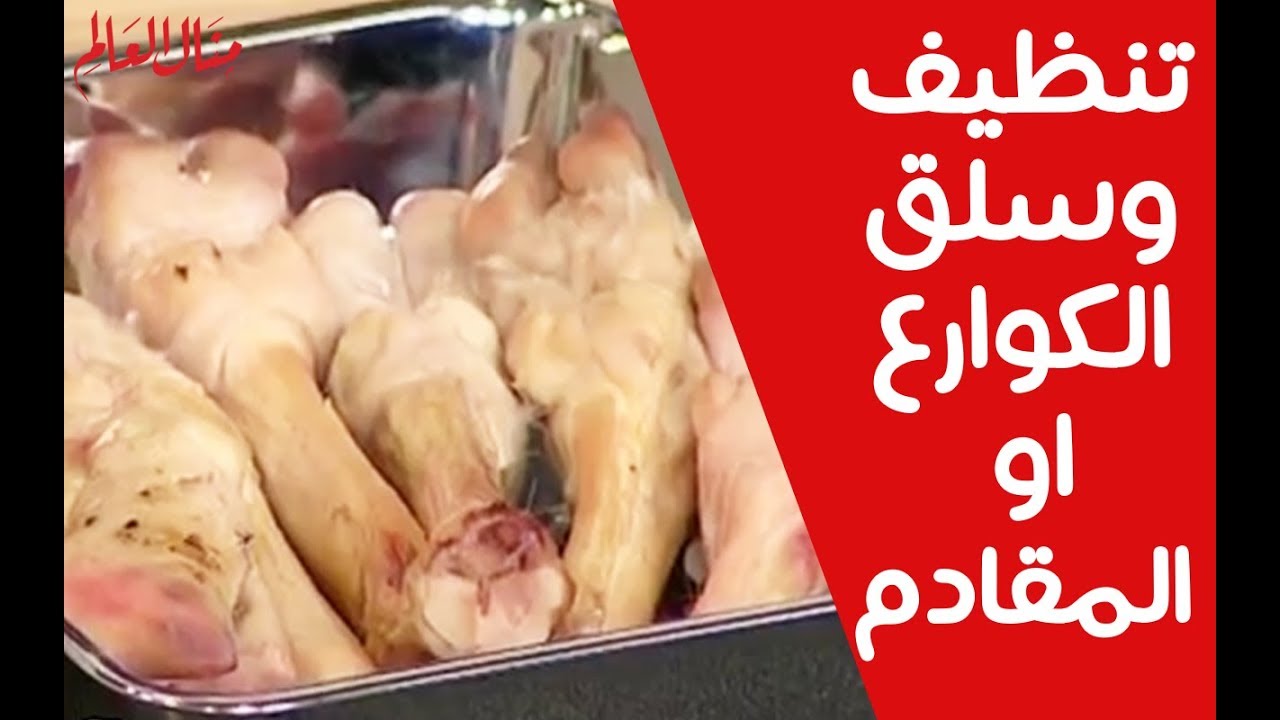 بسرعة الصاروخ.. تنظيف الكوارع من الشعر والزفارة نهائيا ولا اجدع جزار في اسرع وقت وجعلها ناصعة البياض في ثواني