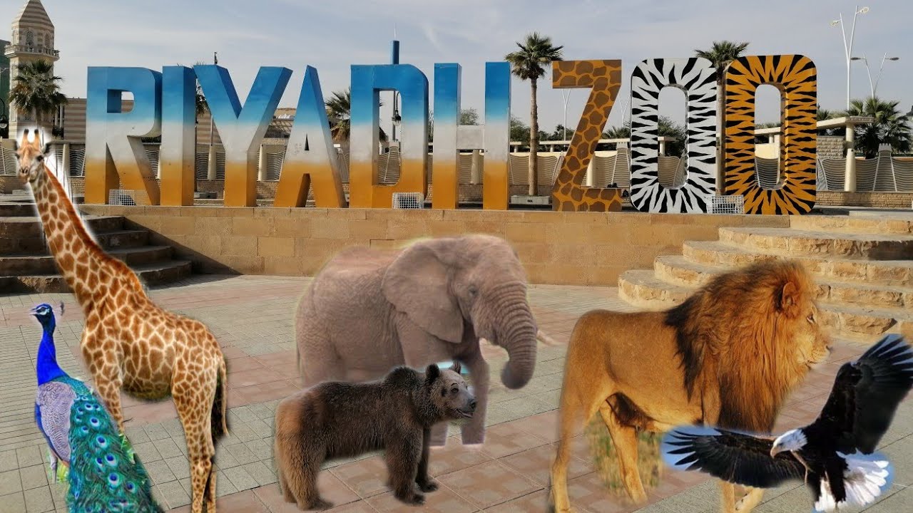 اسعار تذاكر حديقة حيوانات الرياض عوائل وأفراد ومواعيد العمل