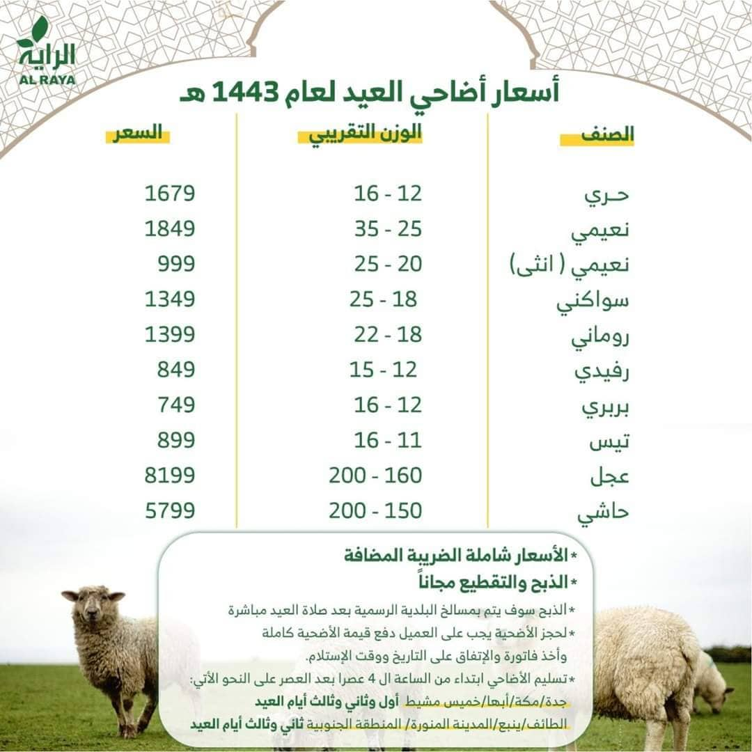 اسعار الأضاحي 2022 في السعودية