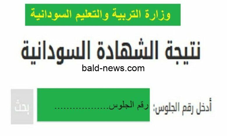نتيجة شهادة الاساس ولاية الخرطوم 2022 وخطوات استخراج النتائج برقم الجلوس عبر موقع وزارة التعليم السودانية