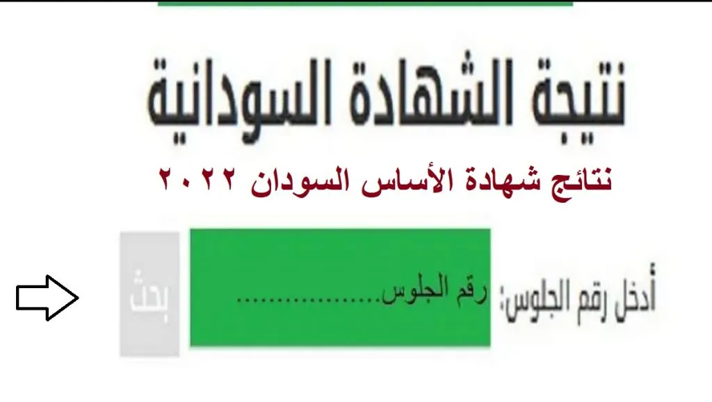 رابط www.moe.gov.sd للكشف عن نتيجة شهادة الاساس ولاية الخرطوم 2022 وكل الولايات من موقع وزارة التربية والتعليم السوداني