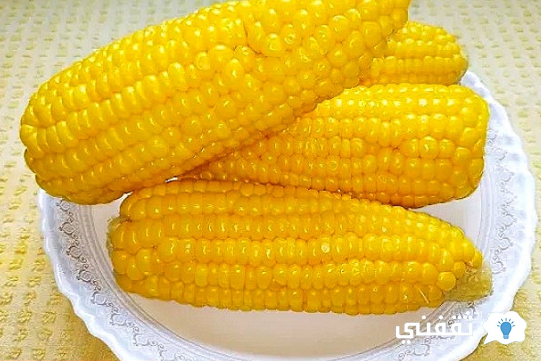 طريقة عمل الذرة الحلوة أو السويت كورن اللذيذة وأهم فوائد الذرة الغذائية