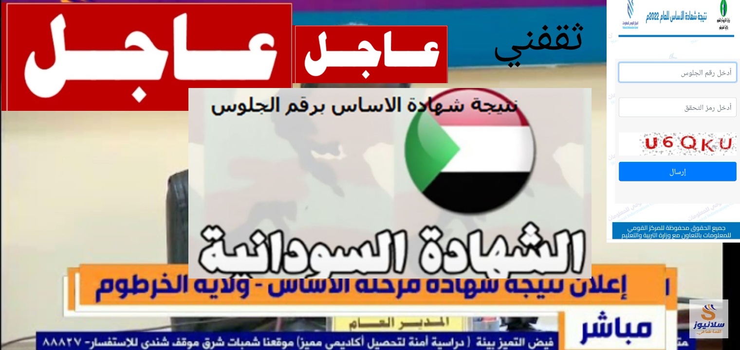 لينك نتيجة شهادة الأساس 2023 جميع الولايات السودانية