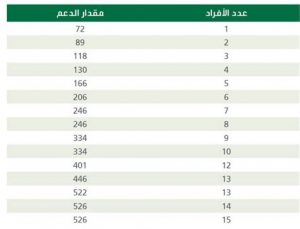 قيمة دعم تسديد فواتير الكهرباء