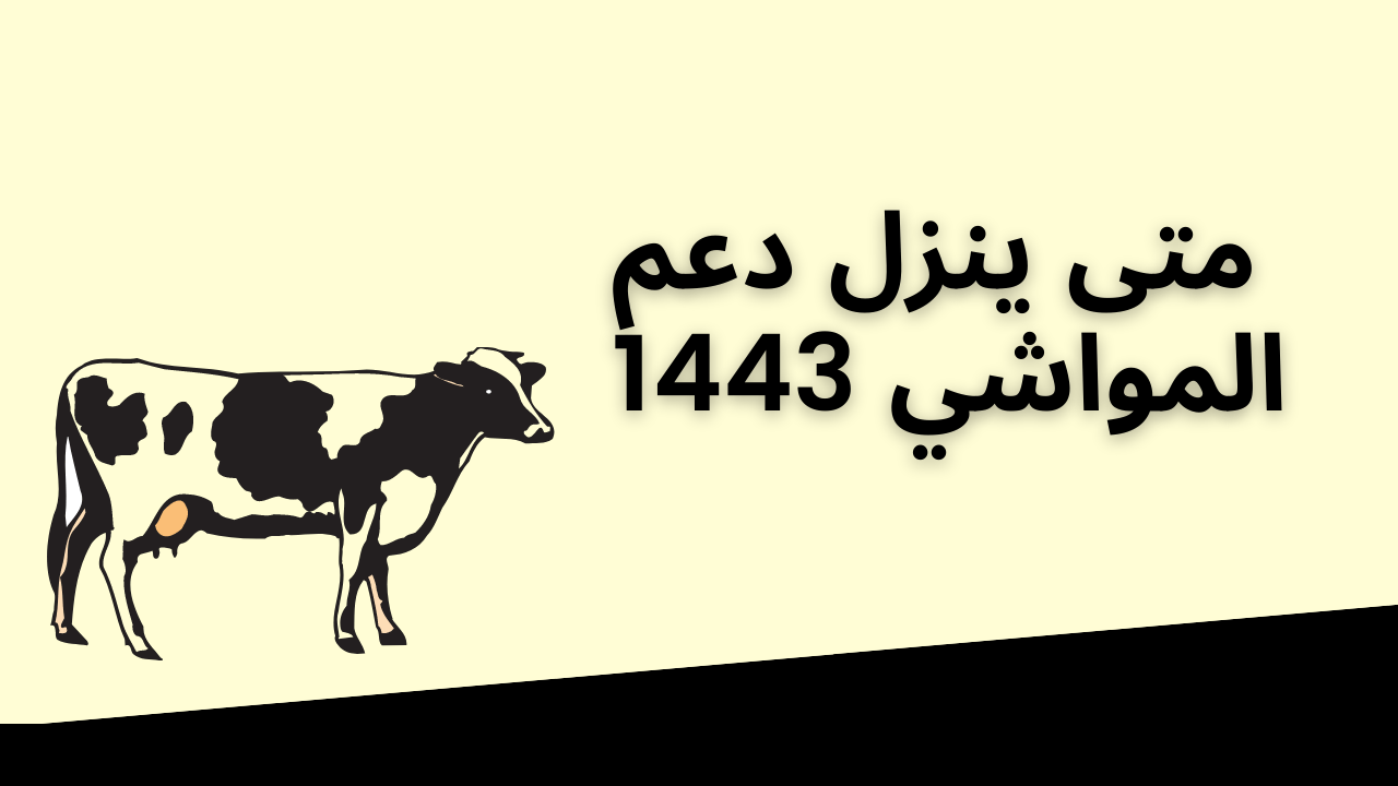 متي موعد صرف إعانة مربي الماشية 1443 شهر يوليو 2022