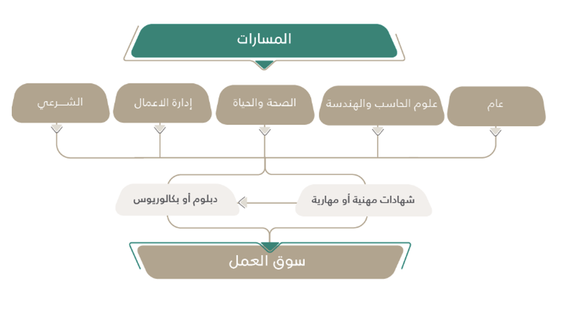 تفاصيل نظام الثانوية العامة الجديد