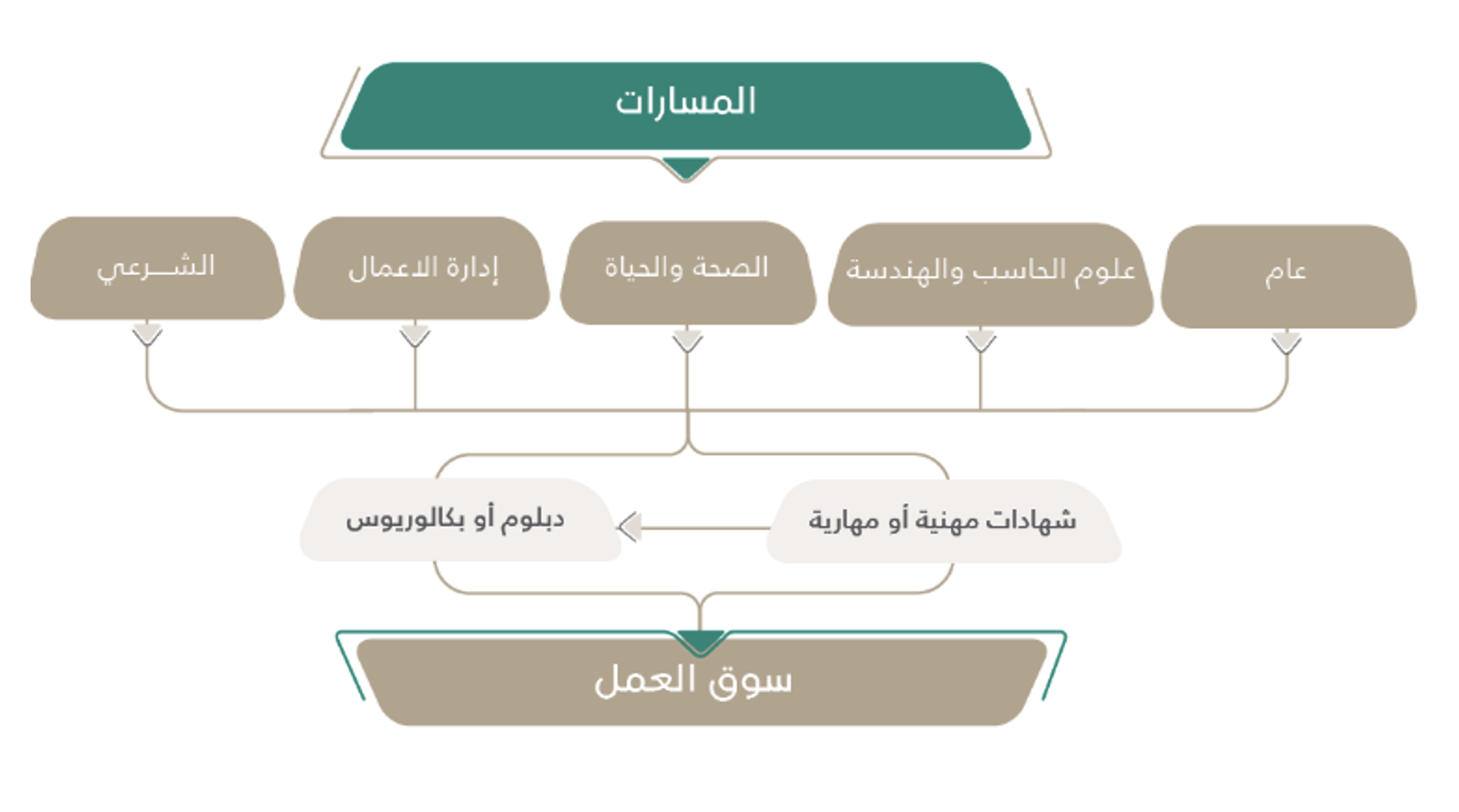 تفاصيل نظام الثانوية العامة الجديد 