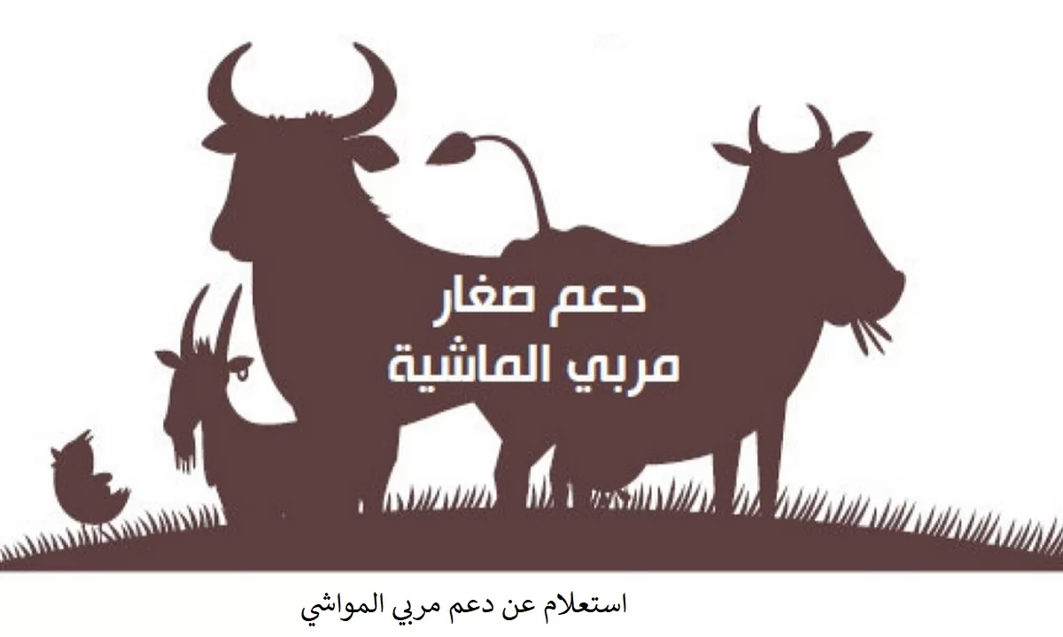 قيمة دعم مربي الماشية
