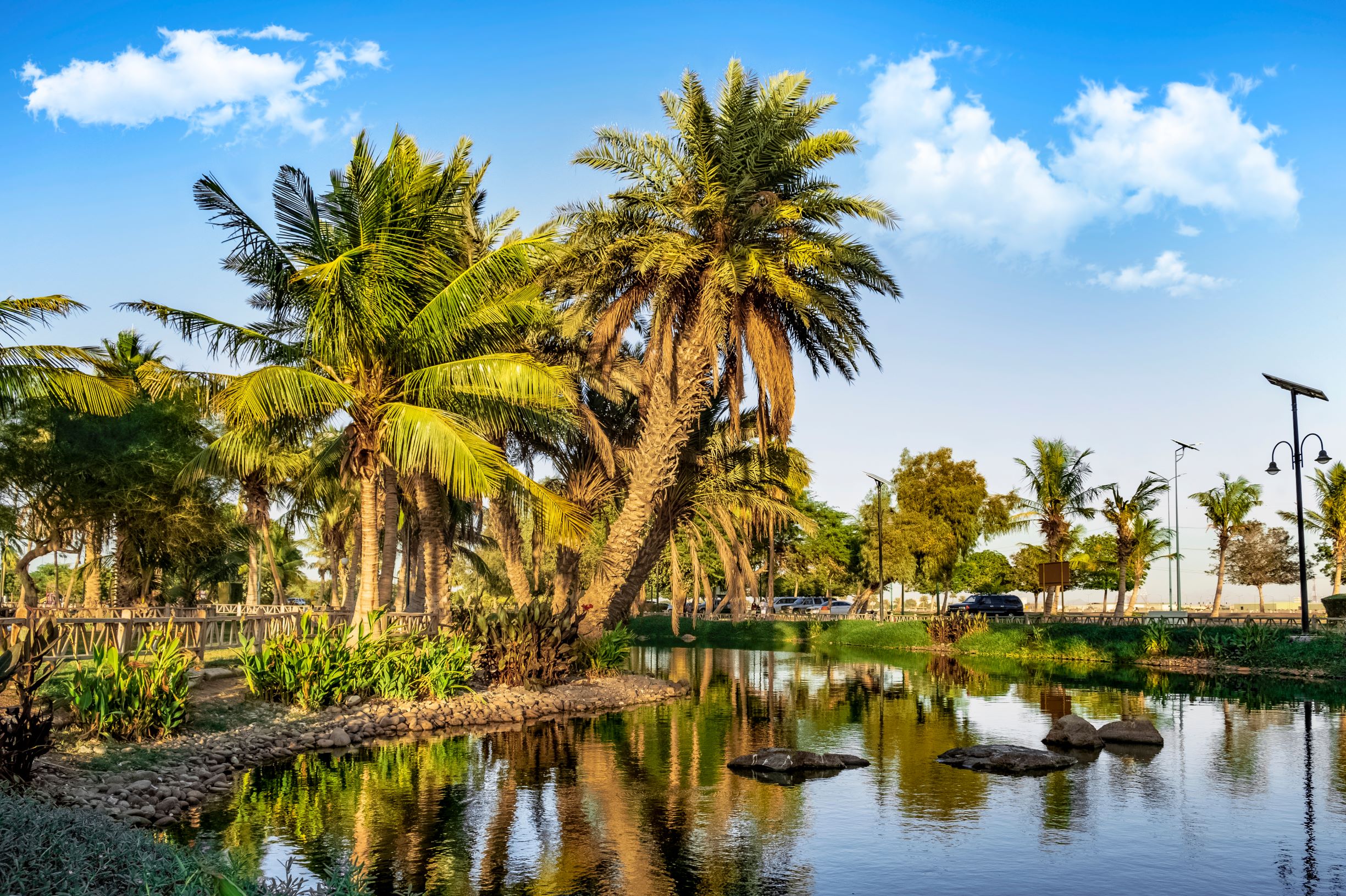 بحيرة ينبع الصناعية