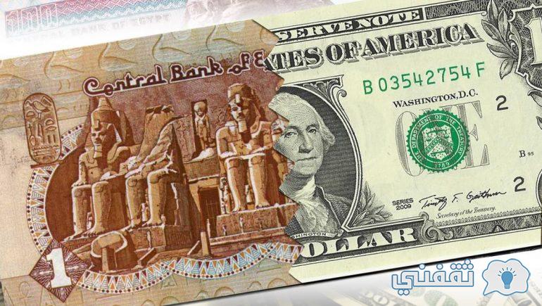 هل يرتفع سعر الدولار بالأيام المقبلة مقابل الجنية المصري
