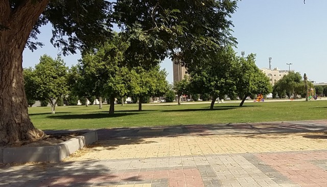 حديقة الملك فهد