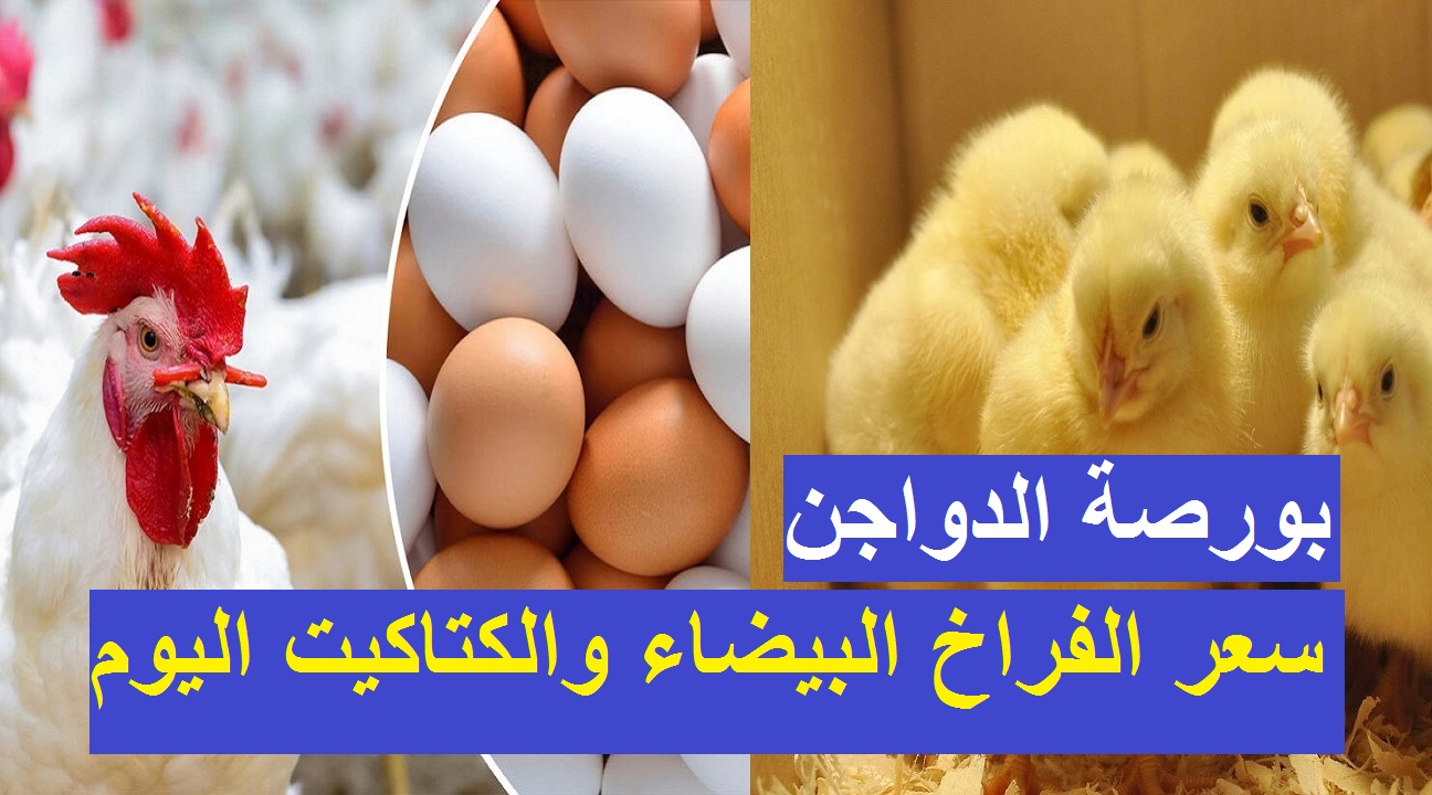 بورصة الدواجن الرئيسية اليوم