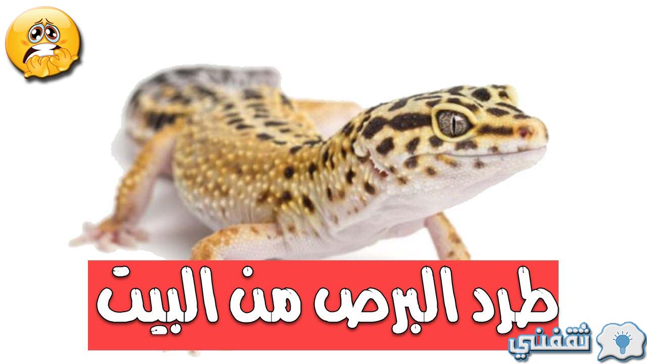 أسهل طريقة للتخلص من البرص