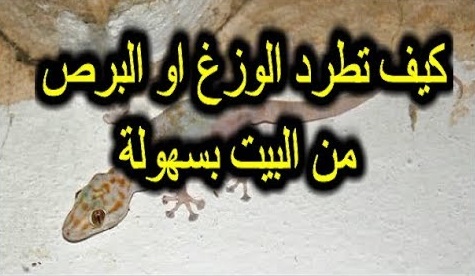 القضاء على البرص