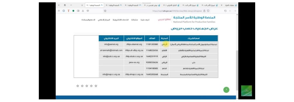 الاسر المنتجة