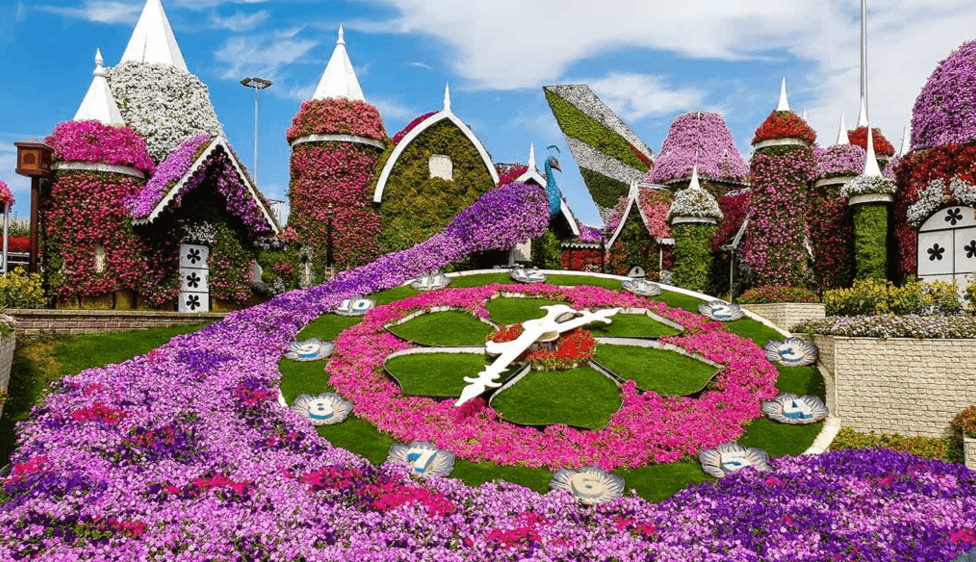 حديقة الزهور