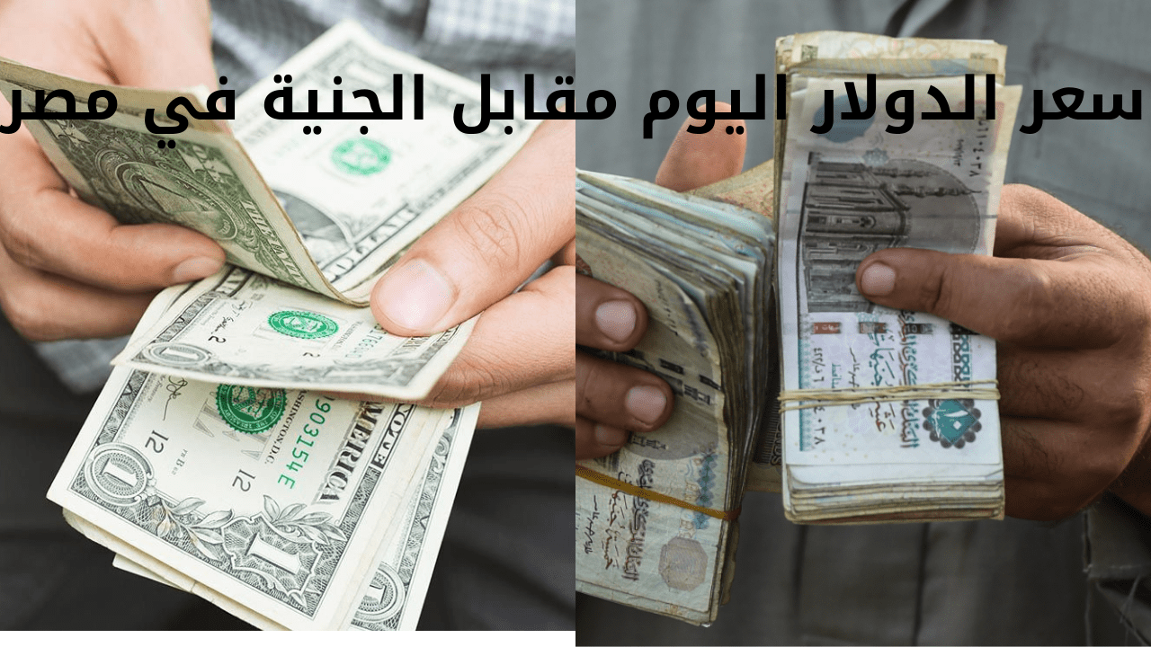 سعر الدولار اليوم مقابل الجنية في مصر