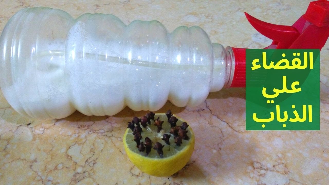 طريقة طرد الذباب.. ضعي هذا الخليط الساحر وسيختفي الذباب والناموس والهاموش من منزلك بدون مبيدات