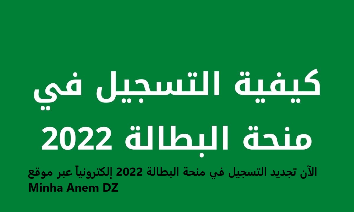 الآن تجديد التسجيل في منحة البطالة 2022 إلكترونياً عبر موقع Minha Anem DZ