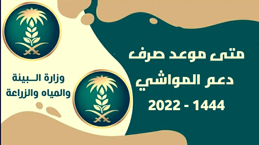 ثقفني
