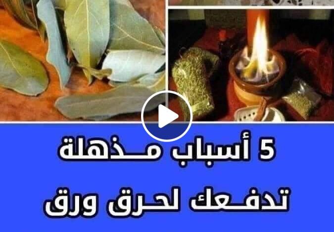 لهذه الأسباب.. عليكم بحرق ورق الغار يوميا في المنزل وهذا ما يحدث لن تستغني عنه من اليوم