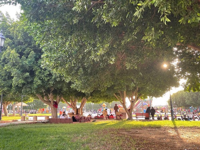 حديقة العنود