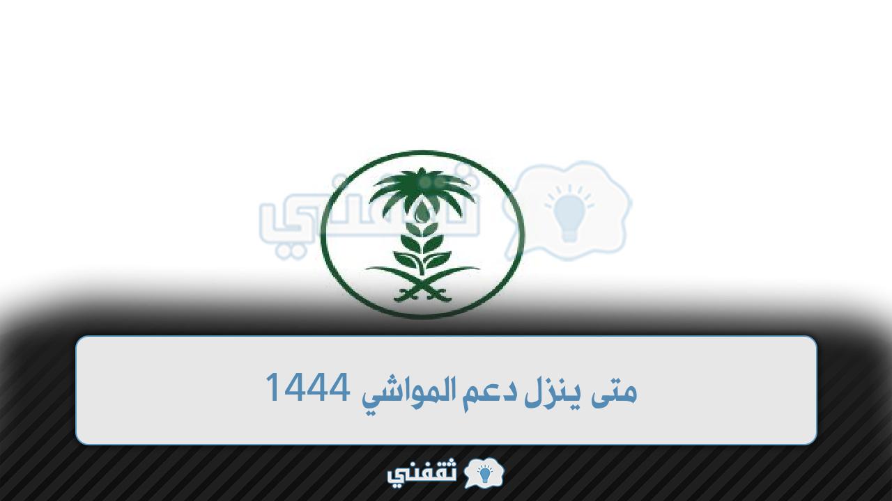 متى ينزل دعم المواشي 1444