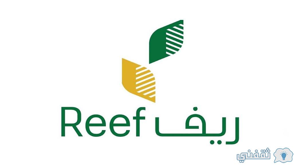 ما معايير دعم ريف