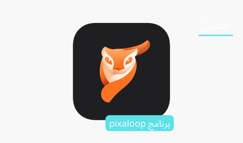 برنامج pixaloop